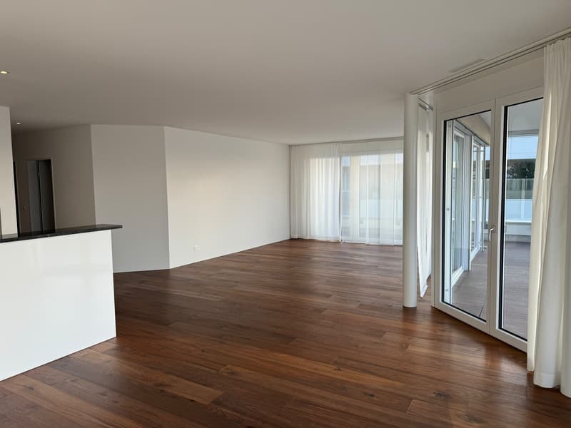 Traumhafte 4.5-Zimmer-Terrassenwohnung mit 139 m² und wunderschöner Aussicht (12)