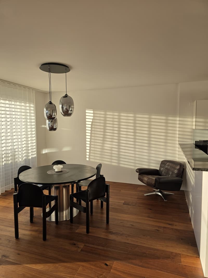 Traumhafte 4.5-Zimmer-Terrassenwohnung mit 139 m² und wunderschöner Aussicht (13)