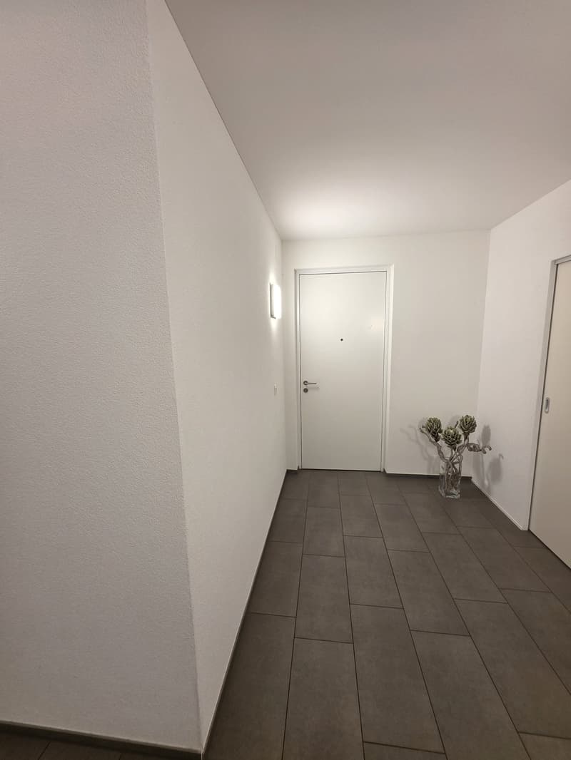 Traumhafte 4.5-Zimmer-Terrassenwohnung mit 139 m² und wunderschöner Aussicht (6)