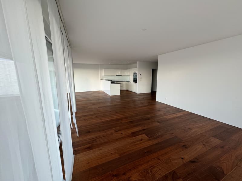 Traumhafte 4.5-Zimmer-Terrassenwohnung mit 139 m² und wunderschöner Aussicht (10)