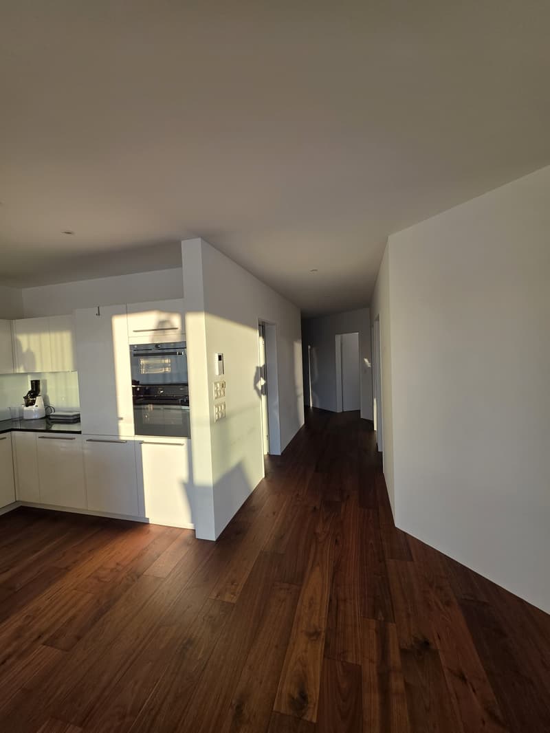 Traumhafte 4.5-Zimmer-Terrassenwohnung mit 139 m² und wunderschöner Aussicht (9)