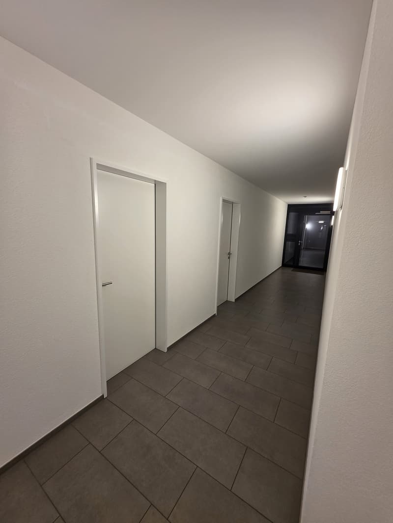 Traumhafte 4.5-Zimmer-Terrassenwohnung mit 139 m² und wunderschöner Aussicht (1)