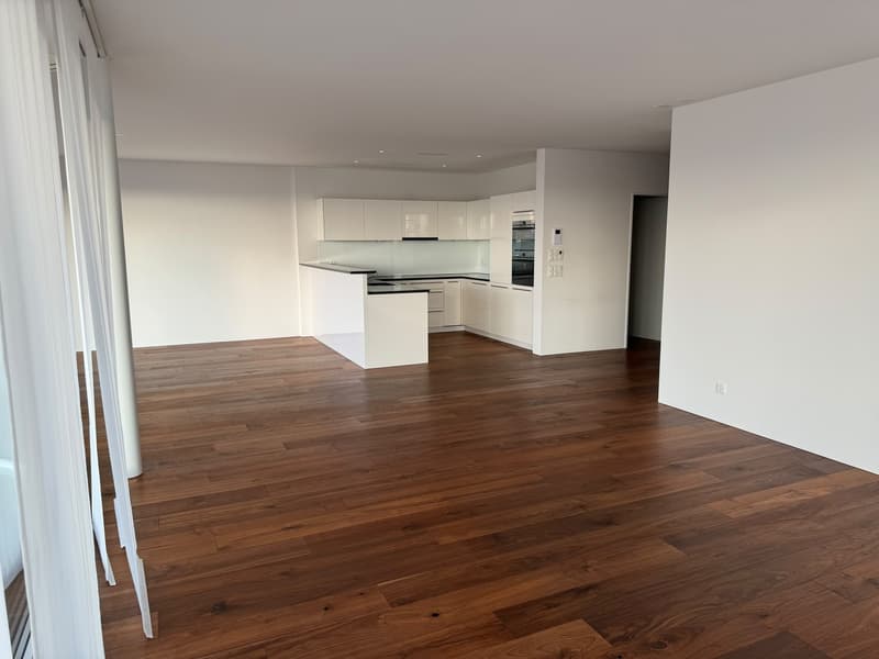 Traumhafte 4.5-Zimmer-Terrassenwohnung mit 139 m² und wunderschöner Aussicht (11)