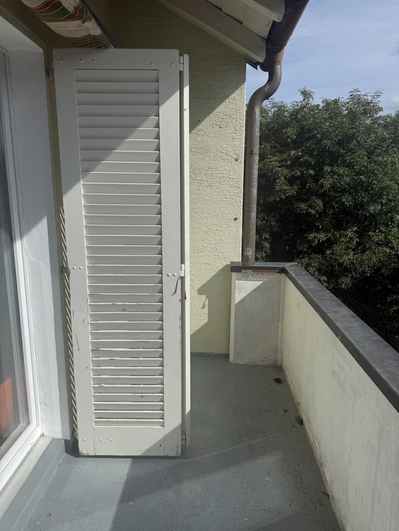 Grosszügige 4 Zimmer Wohnung (5)