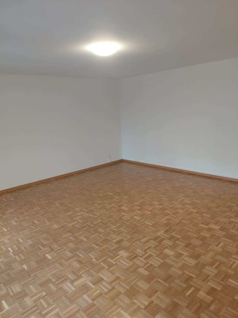 Appartement 1 ½ pièces, 1700 Fribourg (6)