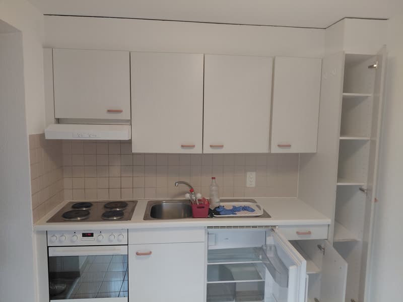 Appartement 1 ½ pièces, 1700 Fribourg (4)