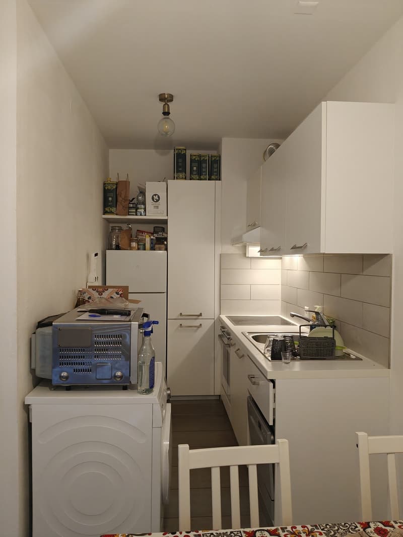 Paradiso appartamento ristrutturato con terrazzo e box auto (3)