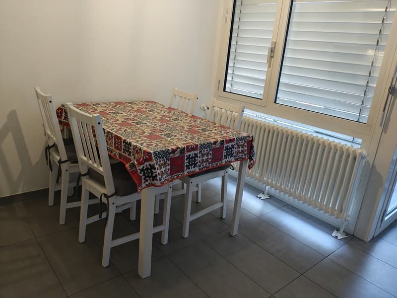 Paradiso appartamento ristrutturato con terrazzo e box auto (2)