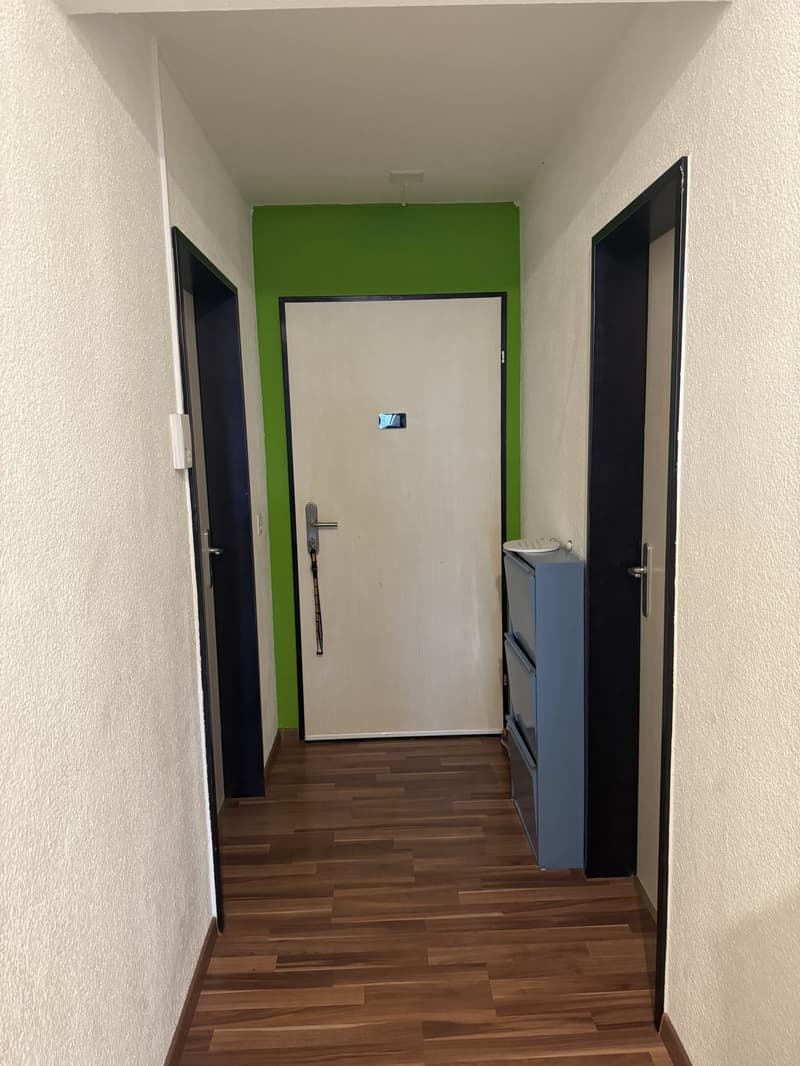 Schöne 5,5-Zimmer-Wohnung in Cham zu vermieten (4)