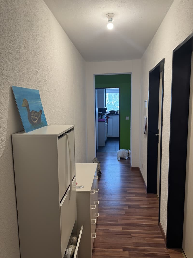 Schöne 5,5-Zimmer-Wohnung in Cham zu vermieten (3)