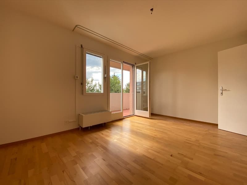 2.5 Zimmer-Wohnung in Stadtnähe (1)