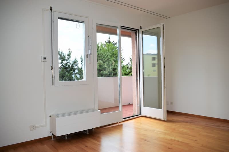 2.5 Zimmer-Wohnung in Stadtnähe (6)
