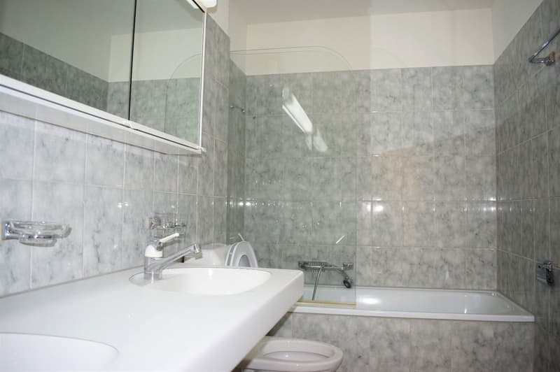 2.5 Zimmer-Wohnung in Stadtnähe (3)