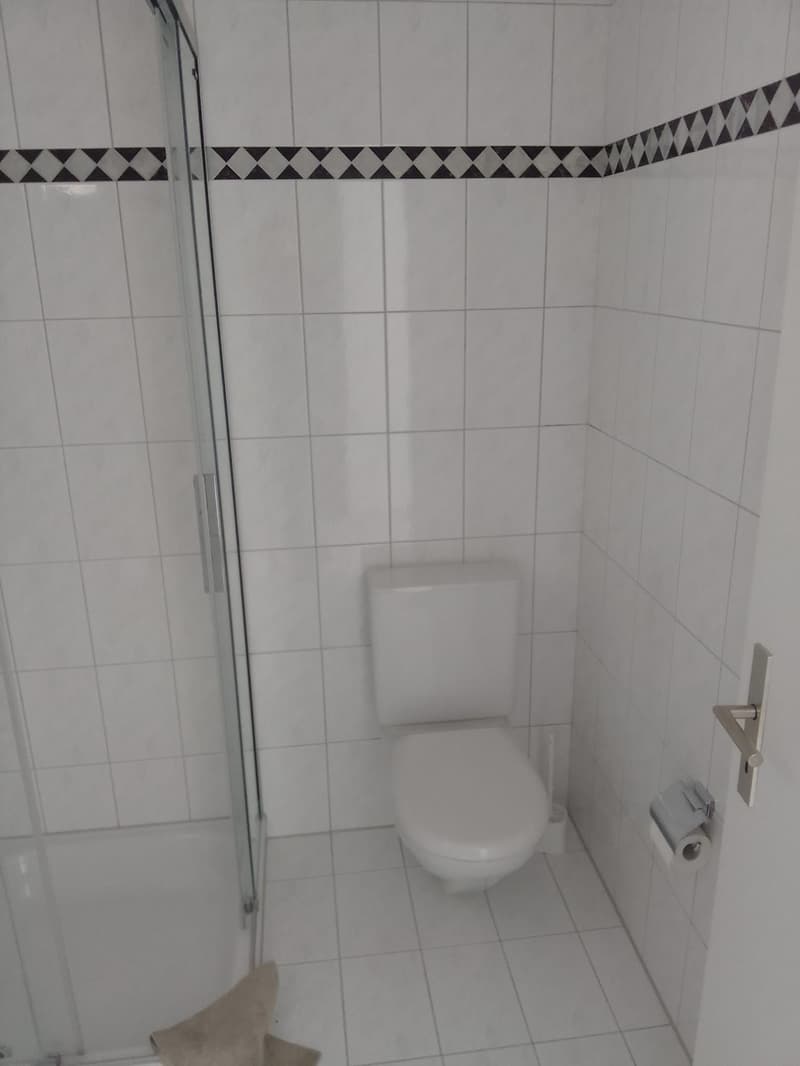 1 ½ Zimmer-Wohnung, 6315 Oberägeri (6)