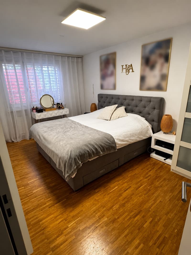 3.5-Zimmer-Wohnung mit grosser Terrasse in Hochdorf LU (1)