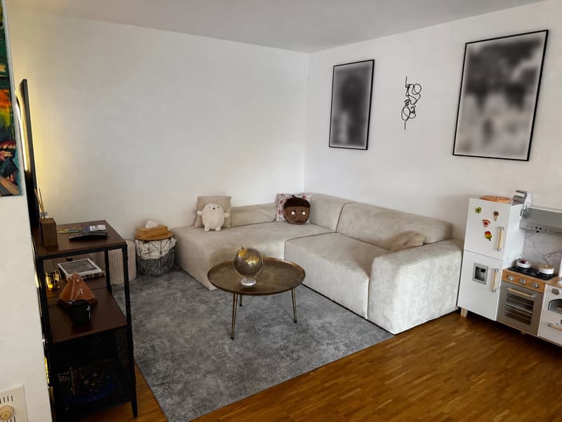 3.5-Zimmer-Wohnung mit grosser Terrasse in Hochdorf LU (5)