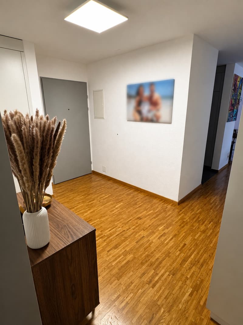 3.5-Zimmer-Wohnung mit grosser Terrasse in Hochdorf LU (7)