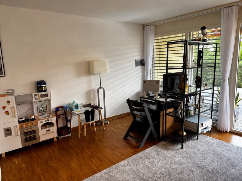 3.5-Zimmer-Wohnung mit grosser Terrasse in Hochdorf LU (8)