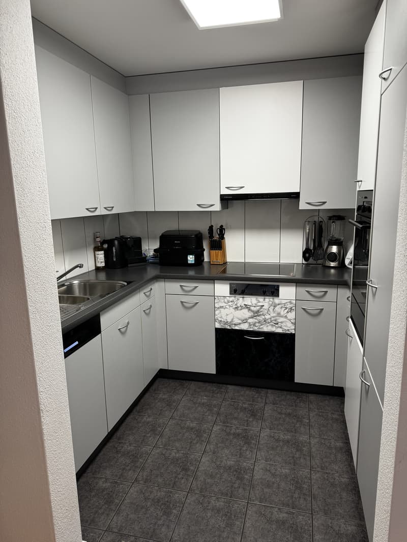 3.5-Zimmer-Wohnung mit grosser Terrasse in Hochdorf LU (10)