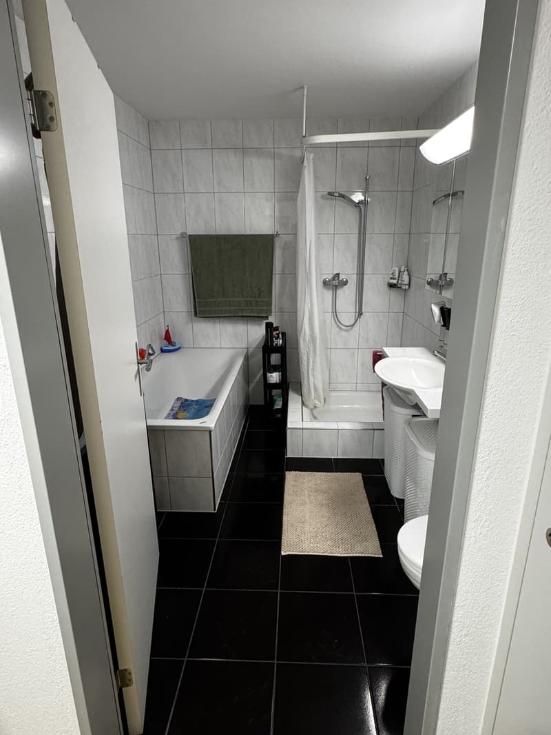 3.5-Zimmer-Wohnung mit grosser Terrasse in Hochdorf LU (9)