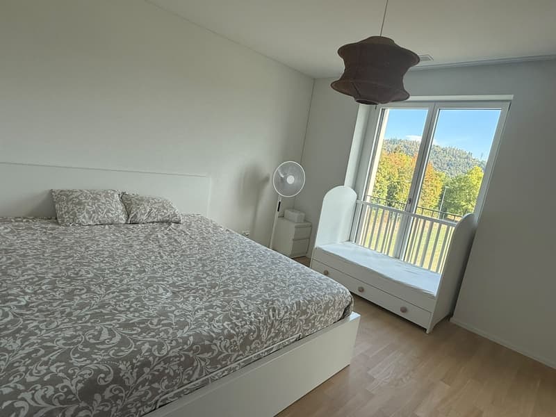 4 ½ rooms apartment, 8957 Spreitenbach (3)