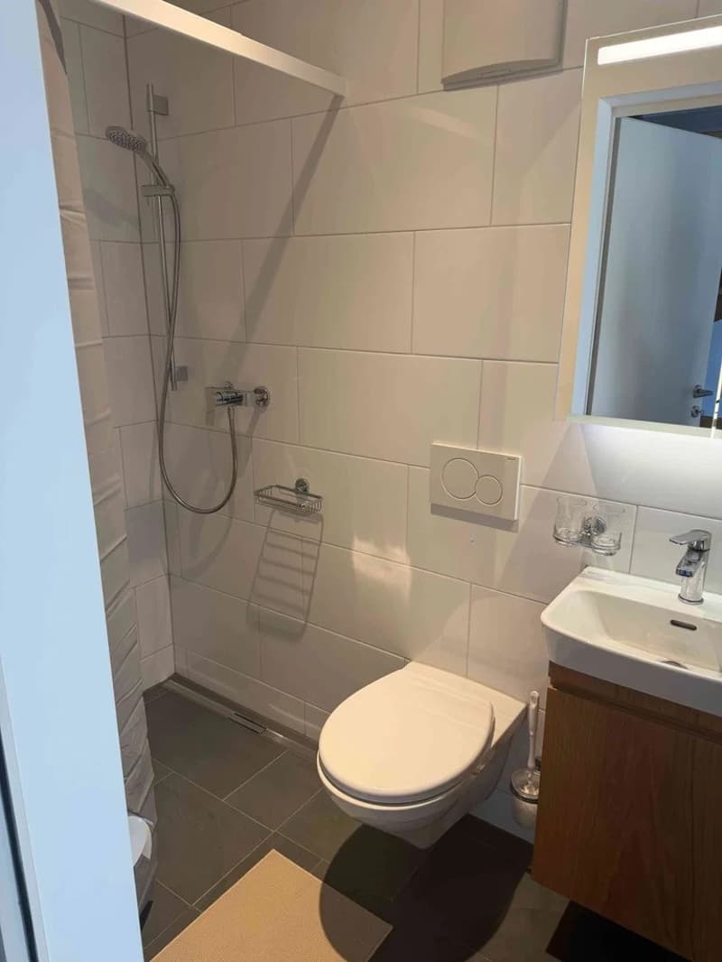 Charmante 3.5 Zimmer Wohnung mit Rheinblick im steuergünstigen Kaiseraugst! (7)