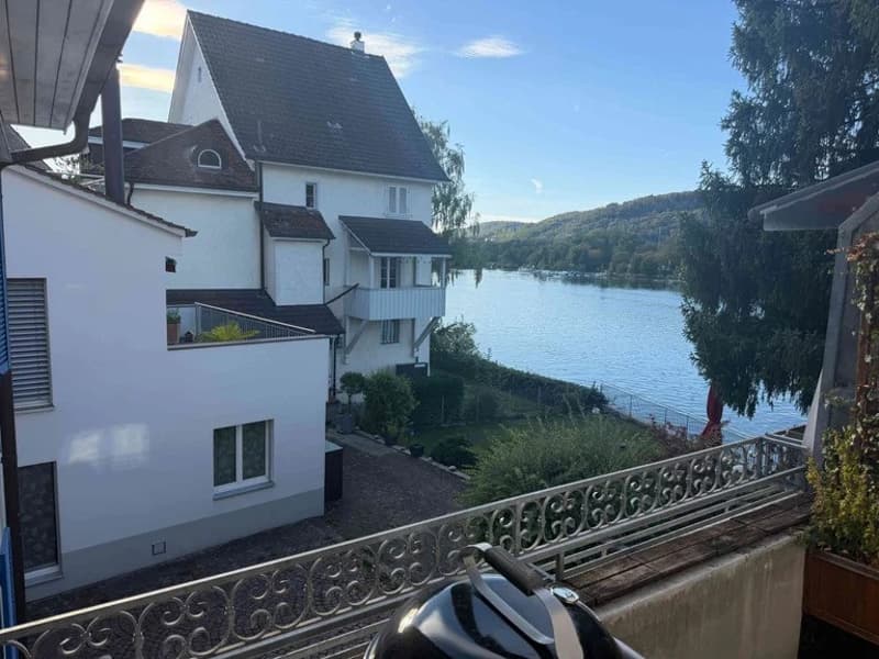 Charmante 3.5 Zimmer Wohnung mit Rheinblick im steuergünstigen Kaiseraugst! (2)