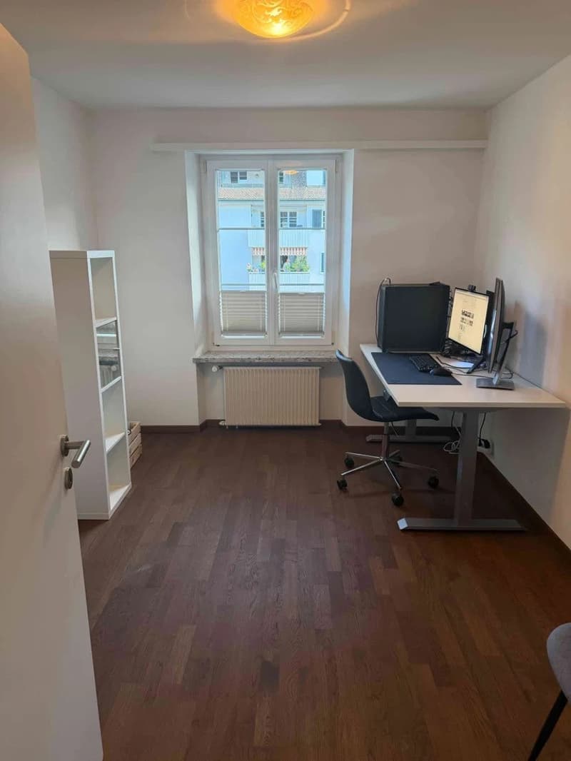 Charmante 3.5 Zimmer Wohnung mit Rheinblick im steuergünstigen Kaiseraugst! (8)