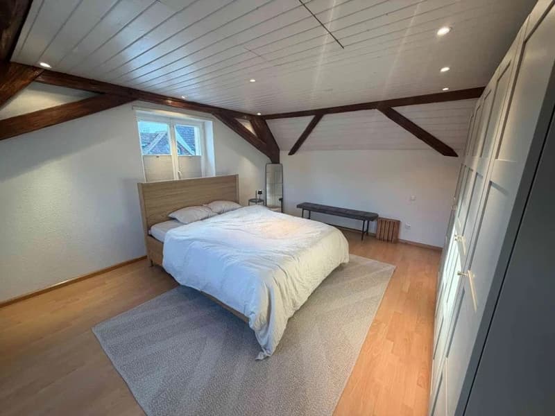 Charmante 3.5 Zimmer Wohnung mit Rheinblick im steuergünstigen Kaiseraugst! (1)