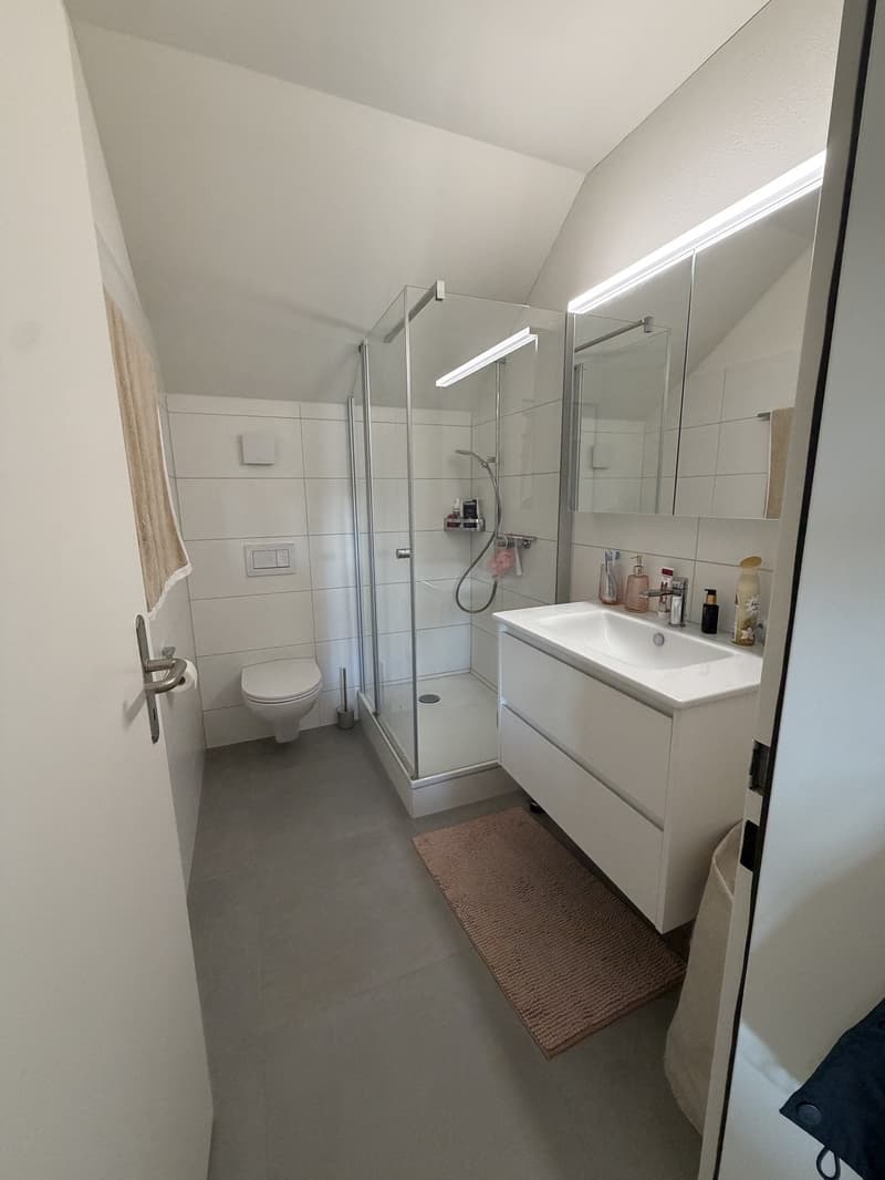 Helle 3 ½ Zimmer Wohnung mit Galerie (8)