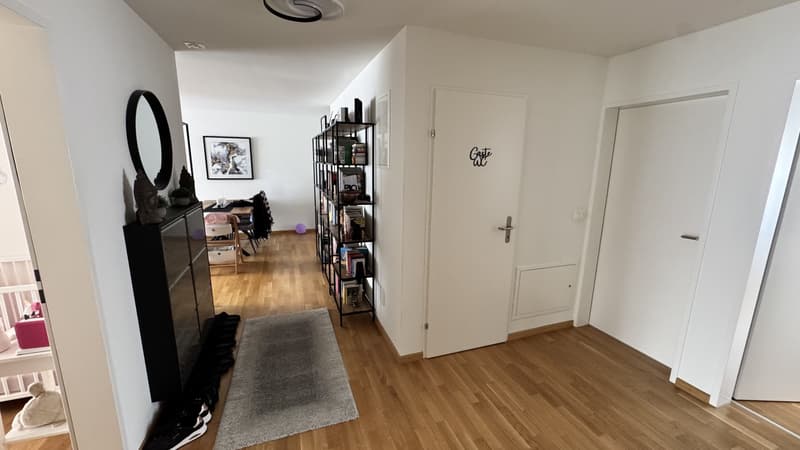 4 1/2 Zimmerwohnung in Männedorf zu vermieten (1)