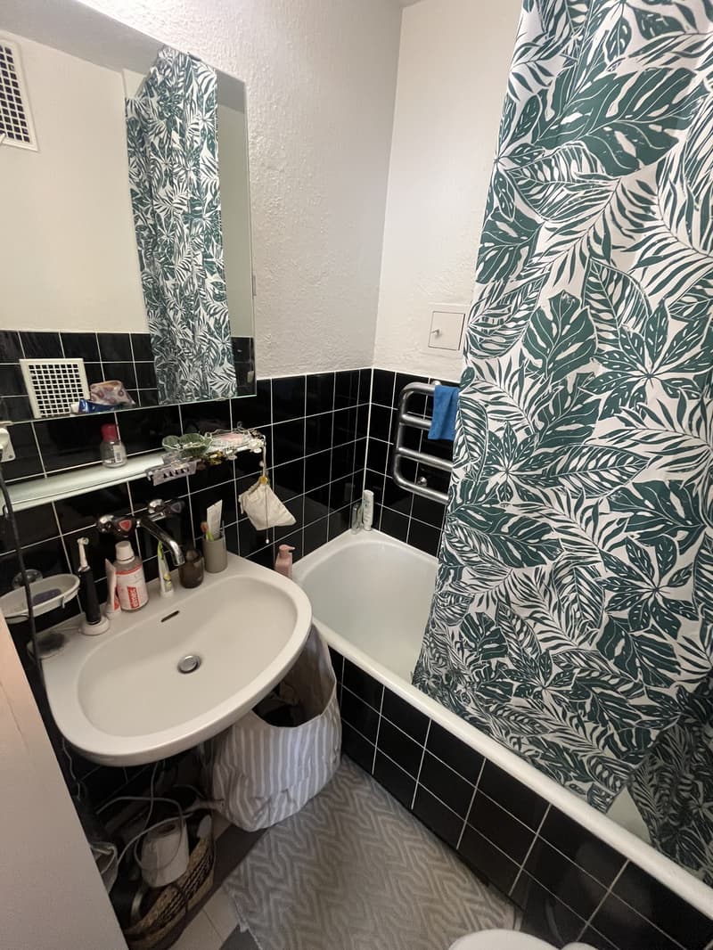 Furnished central apartment near lake and forest (3)