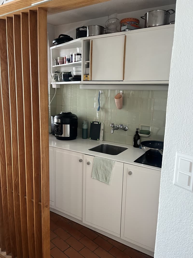 Furnished central apartment near lake and forest (1)