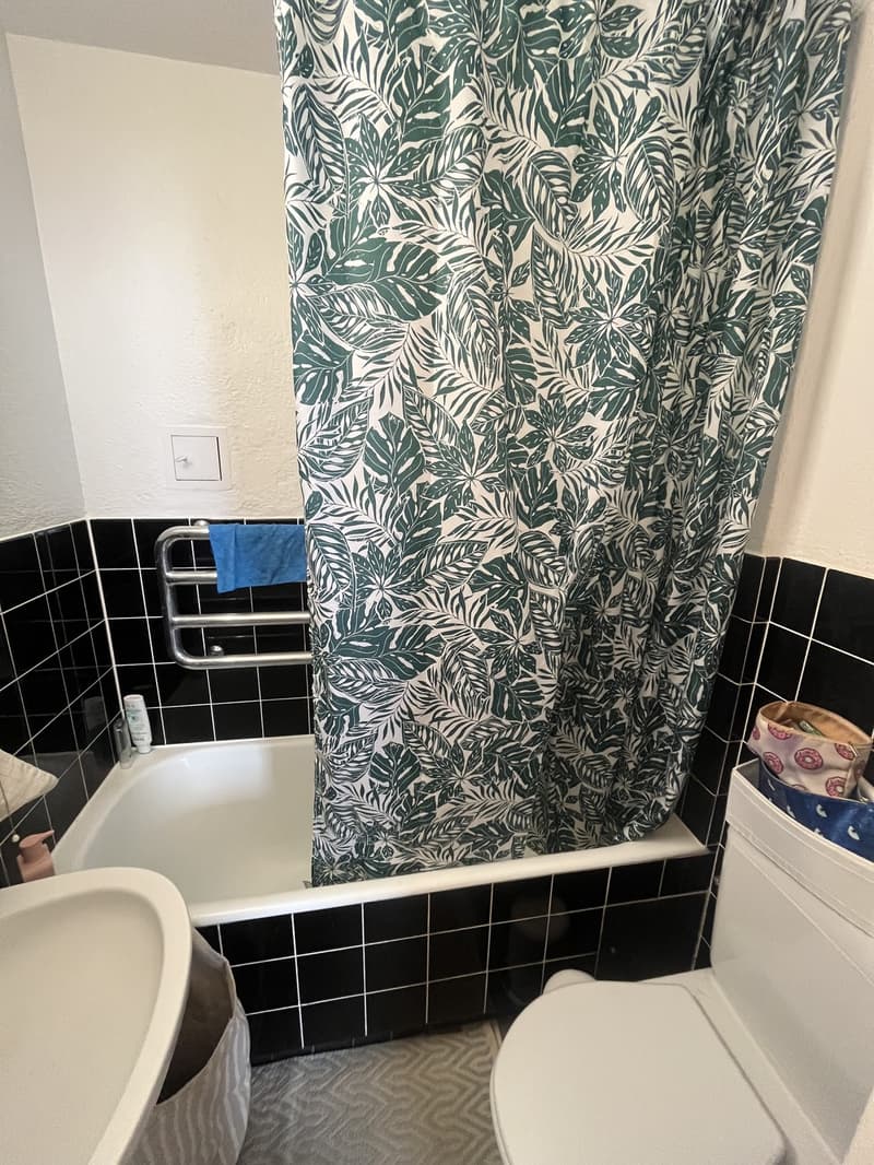 Furnished central apartment near lake and forest (9)