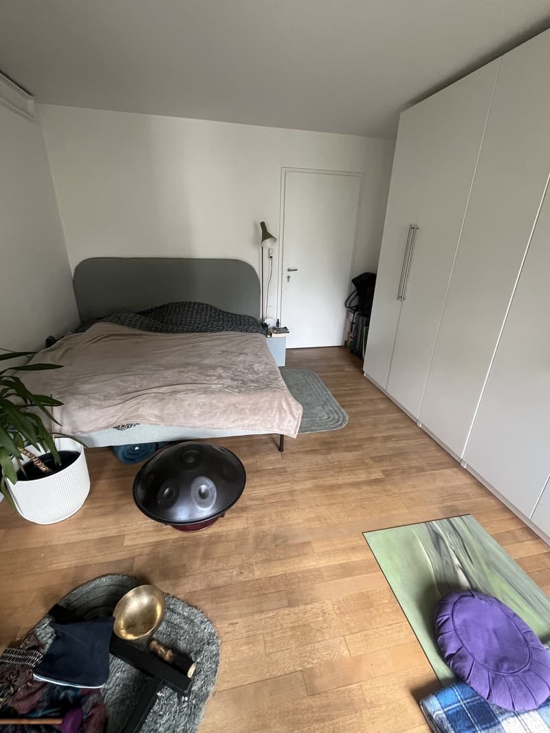 Furnished central apartment near lake and forest (10)