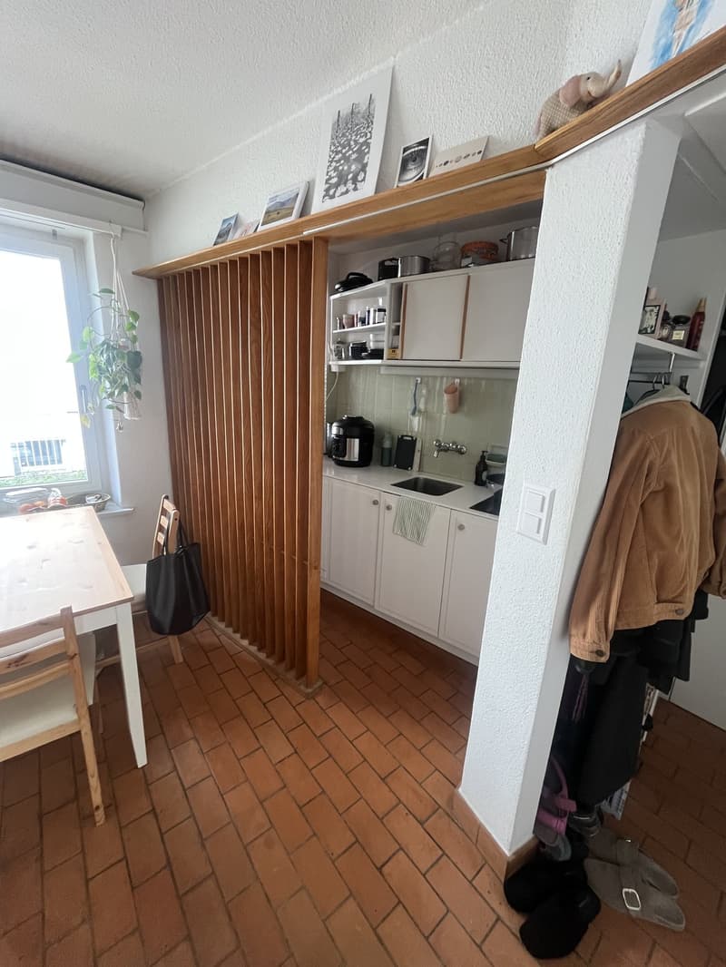 Furnished central apartment near lake and forest (2)