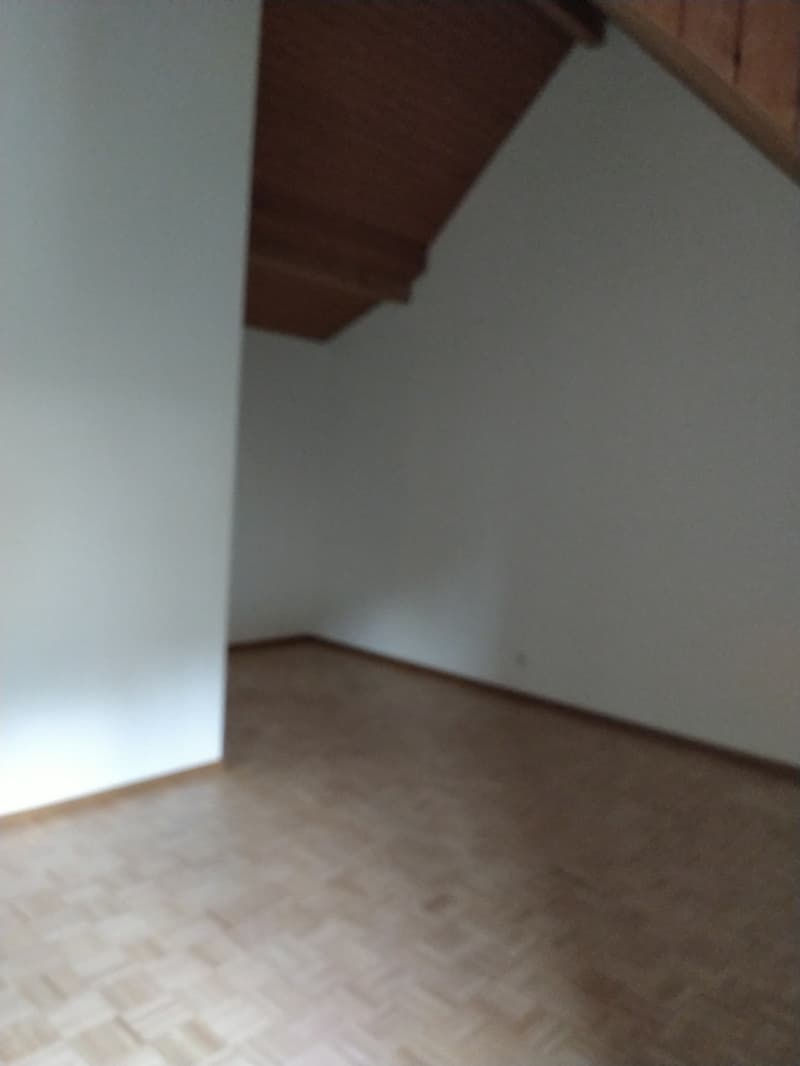 2.5 Z. Maisonette Wohnung Altstadt Brugg (5)