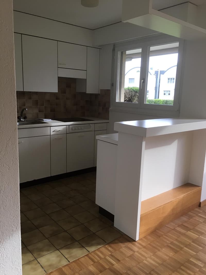 2.5 Zimmer Wohnung, EG (1)