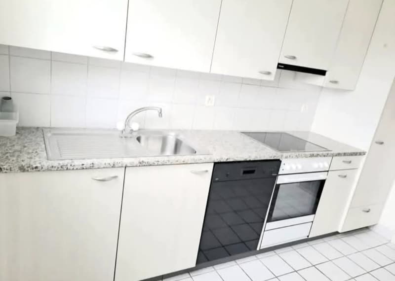 3,5 Zimmer Wohnung, mit Parkplatz, Kellerraum (1)