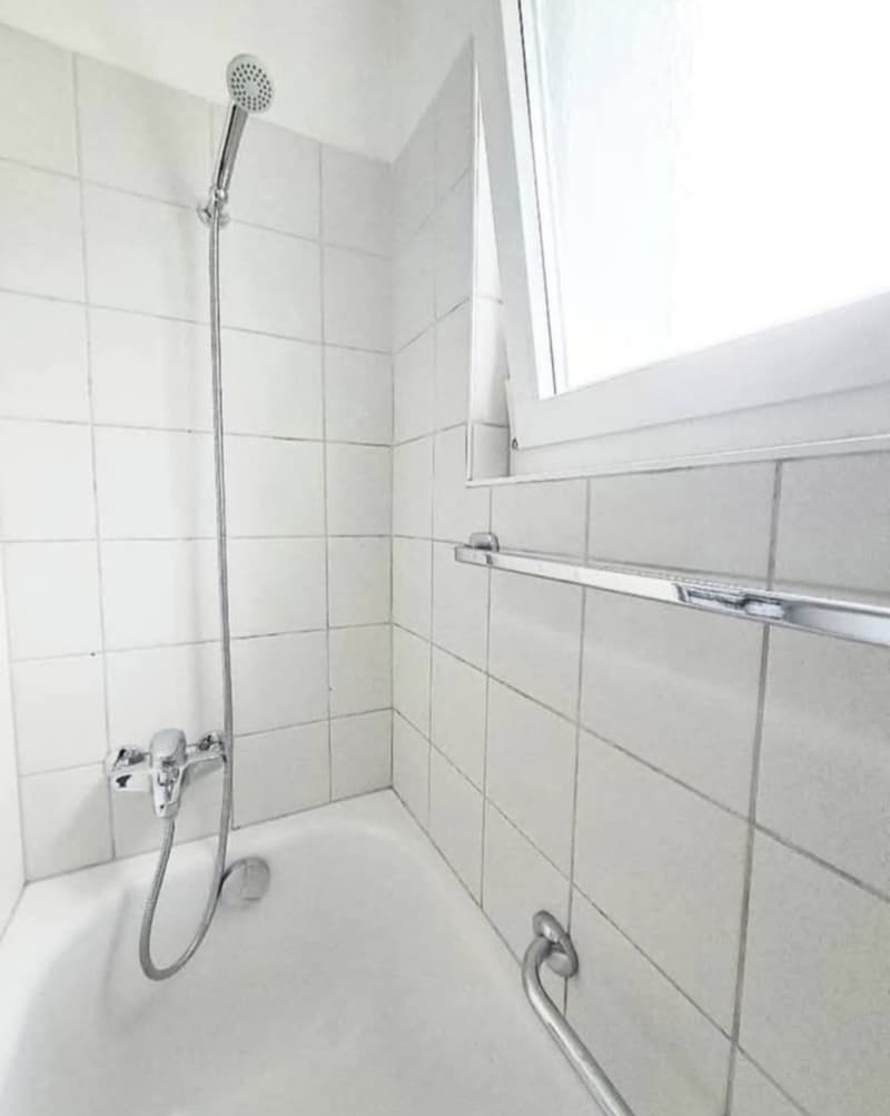 3,5 Zimmer Wohnung, mit Parkplatz, Kellerraum (3)