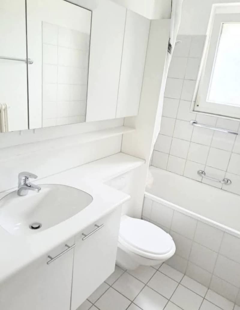 3,5 Zimmer Wohnung, mit Parkplatz, Kellerraum (2)