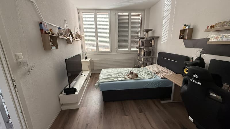 Appartement 2 pièces, 2300 La Chaux-de-Fonds (5)