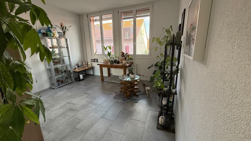 Appartement 2 pièces, 2300 La Chaux-de-Fonds (3)