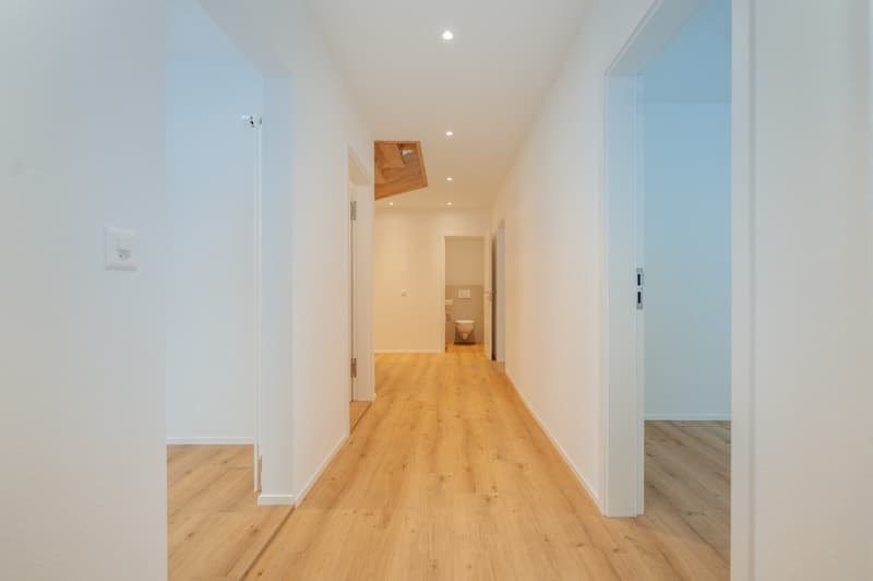 4 1/2 Zimmer Wohnung / Nachmieter gesucht (6)