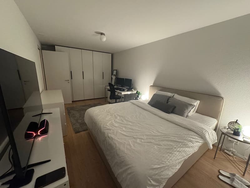 Grosszügige moderne 3.5-Zimmer-Wohnung mit Balkon in Dietikon (4)