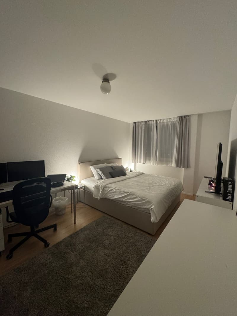 Grosszügige moderne 3.5-Zimmer-Wohnung mit Balkon in Dietikon (7)