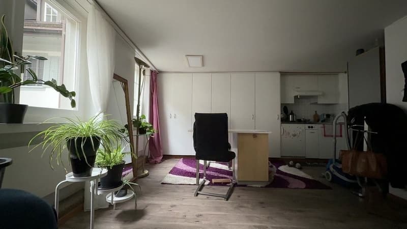 1 Zimmer-Wohnung, 6300 Zug (3)