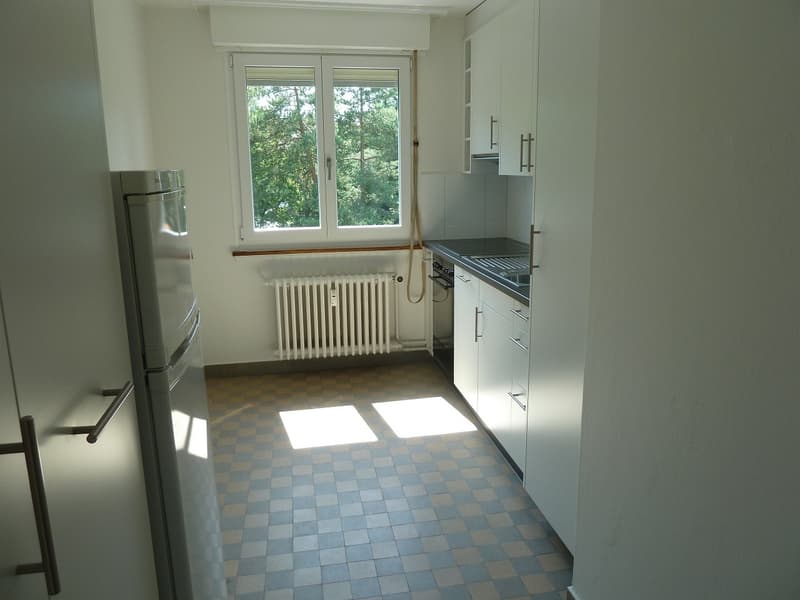 4-Zimmer-Wohnung im Dachgeschoss, Nachmieter gesucht (7)