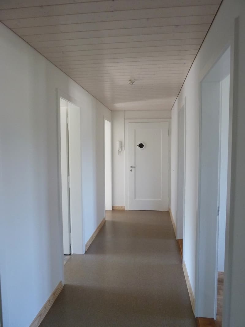 4-Zimmer-Wohnung im Dachgeschoss, Nachmieter gesucht (4)