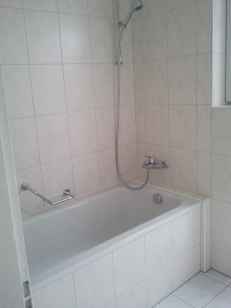 4-Zimmer-Wohnung im Dachgeschoss, Nachmieter gesucht (3)